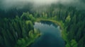 Aerial view of a lake in the middle of the forest Royalty Free Stock Photo