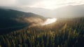 Aerial view of a lake surrounded by forest in the fog Royalty Free Stock Photo