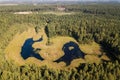 Aerial view of lake in a swampy place in sunny autumn day