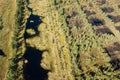 Aerial view of lake in a swampy place in sunny autumn day