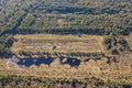 Aerial view of lake in a swampy place in sunny autumn day