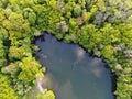 Aerial view of lake Teufelssee a glacial lake in the Grunewald forest Royalty Free Stock Photo