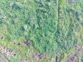 aerial view of land mapping by unmaned aerial vehicle in Bogor, Indonesia