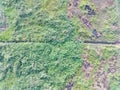 aerial view of land mapping by unmaned aerial vehicle in Bogor, Indonesia