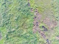 aerial view of land mapping by unmaned aerial vehicle in Bogor, Indonesia