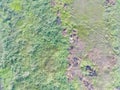 aerial view of land mapping by unmaned aerial vehicle in Bogor, Indonesia