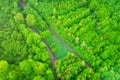 Aerial view of land surface, forest with tree top in vibrant green spring color, natural outdoor background Royalty Free Stock Photo