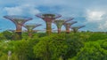 Aerial view of landscape of Gardens by the Bay in Singapore