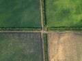 Aerial view of the landscape with green grass and colors on the agricultural field with a rural road, which divides it into four Royalty Free Stock Photo