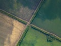 Aerial view of the landscape with green grass and colors on the agricultural field with a rural road, which divides it into four Royalty Free Stock Photo