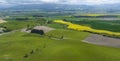 The landscape with a green texture rice of barley as yellow of canola field background Royalty Free Stock Photo