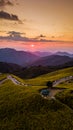 Aerial view landscape of Mountain in Twilight time nature flower Tung Bua Tong Mexican sunflower field ,Mae Hong Son,Thailand Royalty Free Stock Photo