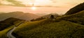 Aerial view landscape of Mountain in Twilight time nature flower Tung Bua Tong Mexican sunflower field ,Mae Hong Son,Thailand Royalty Free Stock Photo