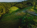 Aerial view of landscape with rice terraces, sunrise tones and shadows. Countryside in Bali island Royalty Free Stock Photo