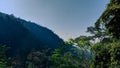 Aerial view landscape tropical forest mountain layer background Royalty Free Stock Photo