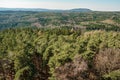 Aerial view of large forest landscape, pine deciduous trees