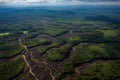 aerial view of a large swath of deforested land