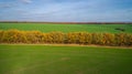 Aerial view of the large wheat field in autumn. Amazing landscape with trees with red and orange leaves in a day in the Royalty Free Stock Photo