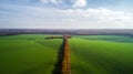 Aerial view of the large wheat field in autumn. Amazing landscape with trees with red and orange leaves in a day in the Royalty Free Stock Photo