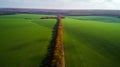 Aerial view of the large wheat field in autumn. Amazing landscape with trees with red and orange leaves in a day in the Royalty Free Stock Photo