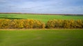 Aerial view of the large wheat field in autumn. Amazing landscape with trees with red and orange leaves in a day in the Royalty Free Stock Photo