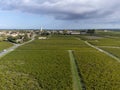 Aerial view on left bank of Gironde Estuary with green vineyards with red Cabernet Sauvignon grape variety of famous Haut-Medoc