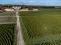 Aerial view on left bank of Gironde Estuary with green vineyards with red Cabernet Sauvignon grape variety of famous Haut-Medoc