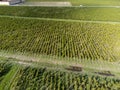 Aerial view on left bank of Gironde Estuary with green vineyards with red Cabernet Sauvignon grape variety of famous Haut-Medoc