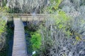 Aerial view of Lettuce Lake Park, Royalty Free Stock Photo