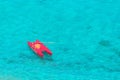 Aerial view of lifeguard boat salvataggio in beautiful clear tropical sea water from Tropea Italy