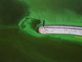 Aerial view of the lighthouse surrounded by algal bloom Royalty Free Stock Photo