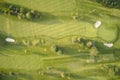 Aerial view of links golf course during summer showing green and bunkers at driving range Royalty Free Stock Photo
