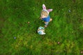 Aerial view of little boy wearing bunny ears costume hunting for eggs in spring garden on Easter day. Point of drone view.