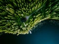 Aerial view of log cabin cottage in green summer woods by blue lake in Finland Royalty Free Stock Photo