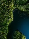 Aerial view of log cabin cottage in green summer woods by blue lake in Finland