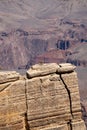 Aerial view of a lonely green tree on the cliff at Grand Canyon National Park Royalty Free Stock Photo