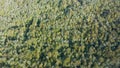 Aerial View of Louisiana Swamp Royalty Free Stock Photo