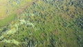 Aerial View of Louisiana Swamp Royalty Free Stock Photo