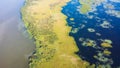 Aerial View of Louisiana Wetlands Royalty Free Stock Photo