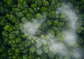 Aerial view of lush green forest Royalty Free Stock Photo
