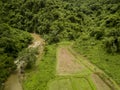 Aerial view of the Lush Green Rain Forest Mountain