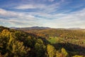 Aerial view of a lush, mountainous forest valley with winding trails and lush vegetation