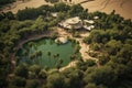 aerial view of a lush oasis surrounded by sand dunes