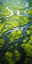 Aerial View Of Lush Swamp Land: Intricately Mapped Worlds And Photo-realistic Landscapes