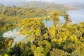 Aerial view of lush tropical rain forest trees. The forest extends into the sea Royalty Free Stock Photo