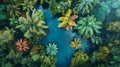 Aerial View of Lush Tropical Rainforest with Blue Water Royalty Free Stock Photo