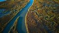 Aerial view of the lush wetlands of the South Carolina coast