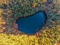 aerial view of majestic trees and beautiful mountain lake, Blue