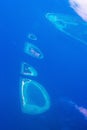 Aerial view of Maldives archipelago Baa Atoll Royalty Free Stock Photo