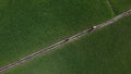 Aerial View of a Man and a Woman Walking along a Path Between Rice Plantations in an Asian Village